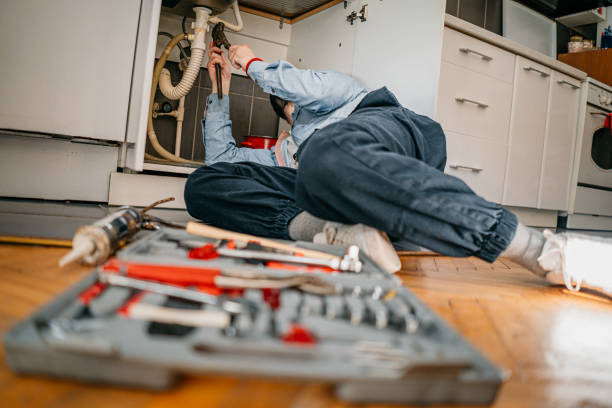 Best Septic Systems  in Dade City North, FL