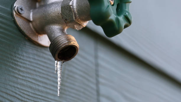 Best Same-Day Plumbing Service  in Dade City North, FL